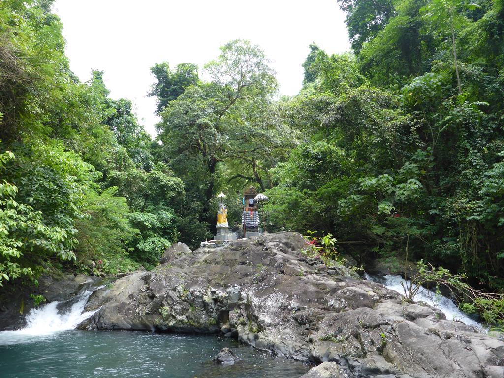 Gunung Paradis Retreat Munduk Exterior foto