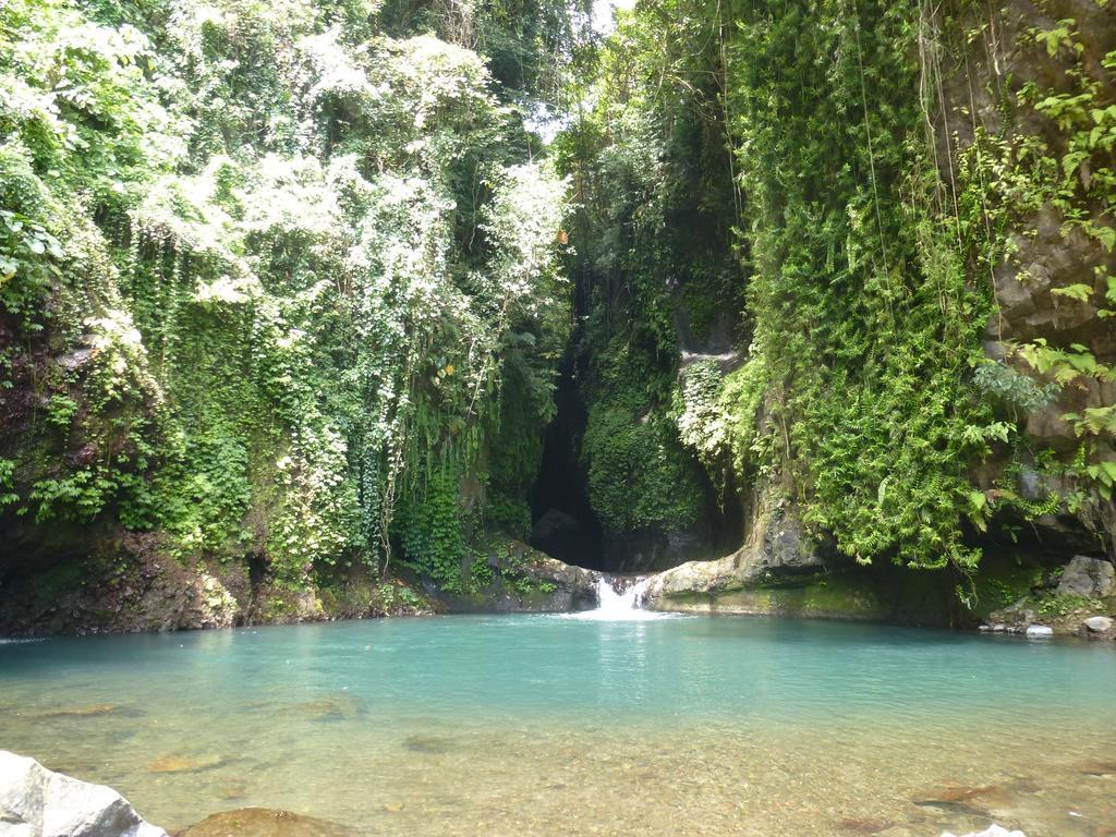 Gunung Paradis Retreat Munduk Exterior foto